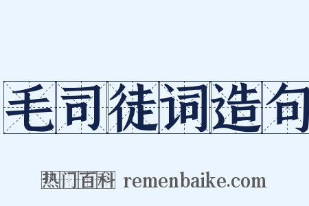 毛司徒词造句是什么意思的图片